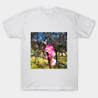 Photography - First plum blossom T-Shirt